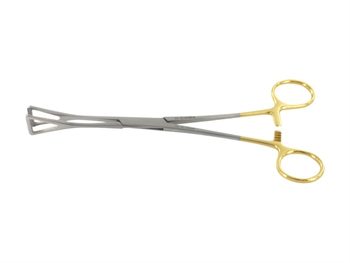 DUVAL C.T. - 20 cm