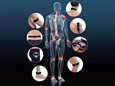 MAGNETOTERAPIA A BASSA FREQUENZA ORTHOMAG