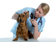 VIDEOTOSCOPIO MD SCOPE VETERINARIA - con 3 sonde