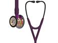 LITTMANN CARDIOLOGY IV - 6239 - prugna - finiture arcobaleno brillanti - conn. viola