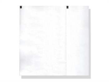 Carta termica ECG 210x140 mmxm - pacco griglia bianca