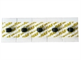 ELETTRODI PE-FOAM MONOUSO 28-44 mm - rettangolari adulti