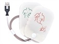 SAVE PADS+CAVO-in >8 anni per 33384/5 fino a S.N. 738XXXXXXX