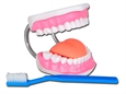 MODELLO IGIENE DENTALE LINEA "VALUE"